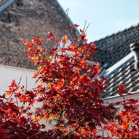Zenden Hotel Maastricht