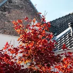 Zenden Szálloda Maastricht